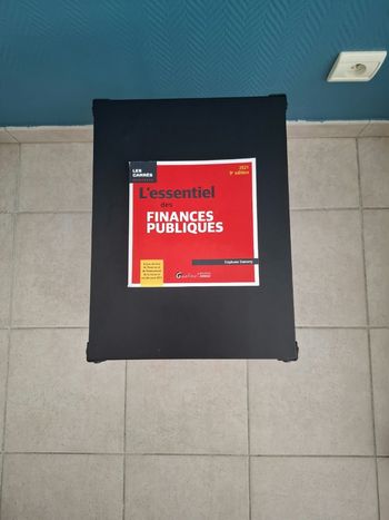 L’essentiel des finances publiques