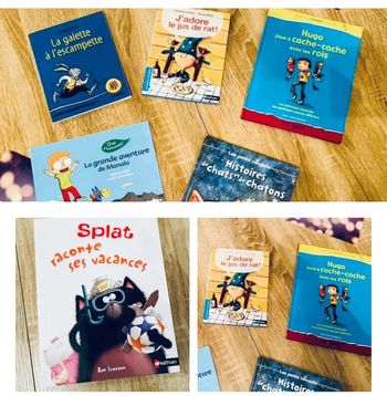 Lot de livres histoires du soir