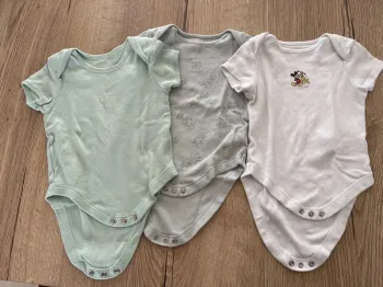 Lot 3 bodies manches courtes