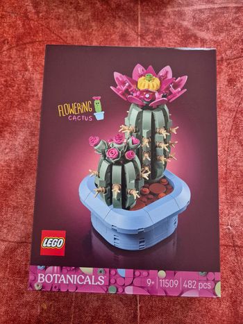LEGO 11509 Flowering cactus NEUF