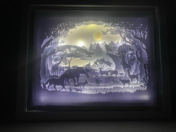 Lightbox Savane