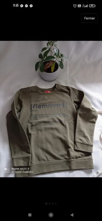 Pull "flemmard"