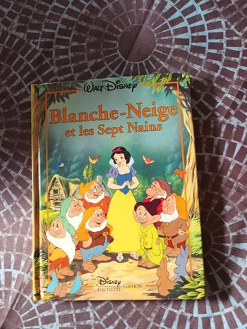 livre blanche neige et les sept nains