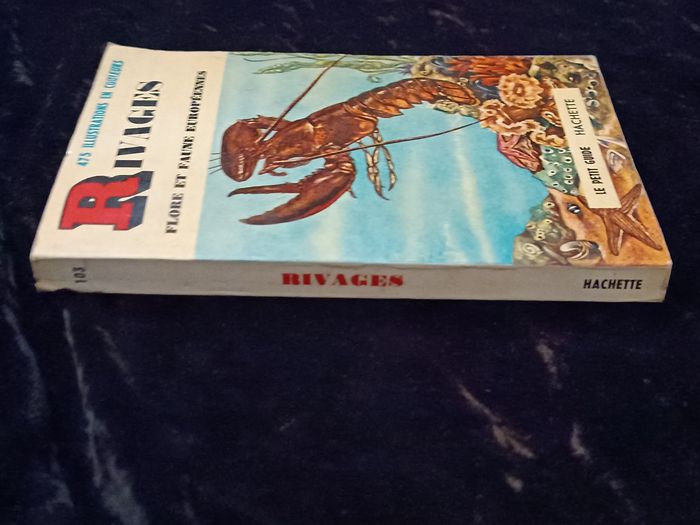 Petit guide flore et faune européennes Hachette - photo numéro 6