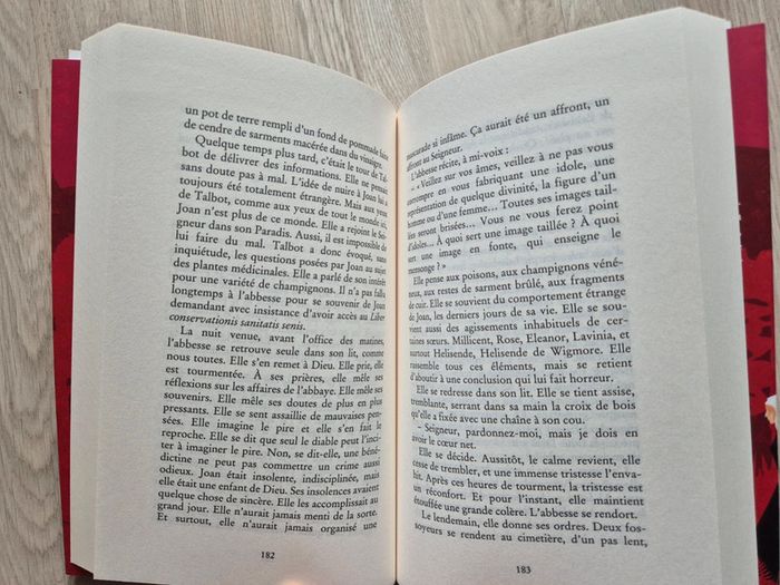 Le livre de Joan - photo numéro 3