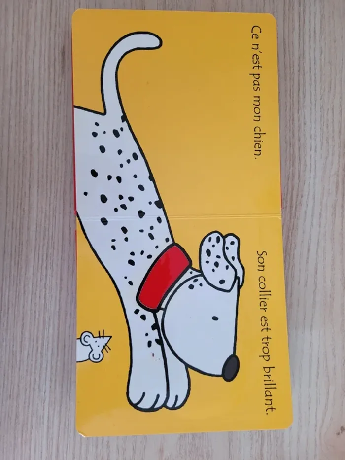Où est mon chien? - photo numéro 6