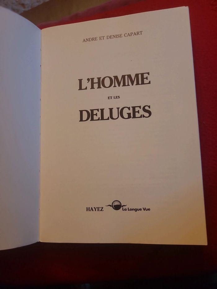 L'homme et les déluges - photo numéro 11