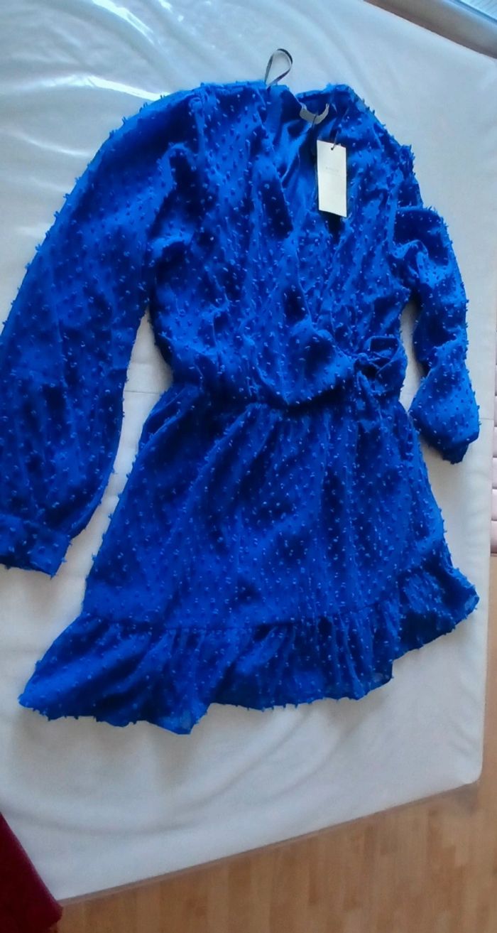 Robe bleue - photo numéro 7