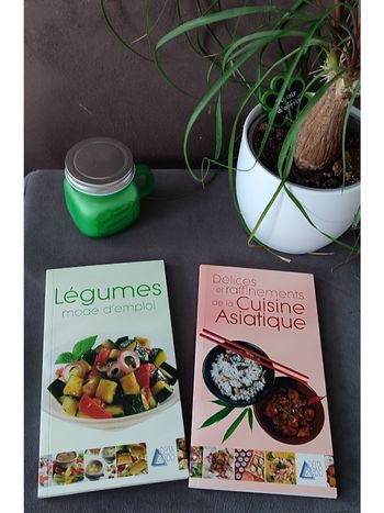 Lot 2 livres de cuisine