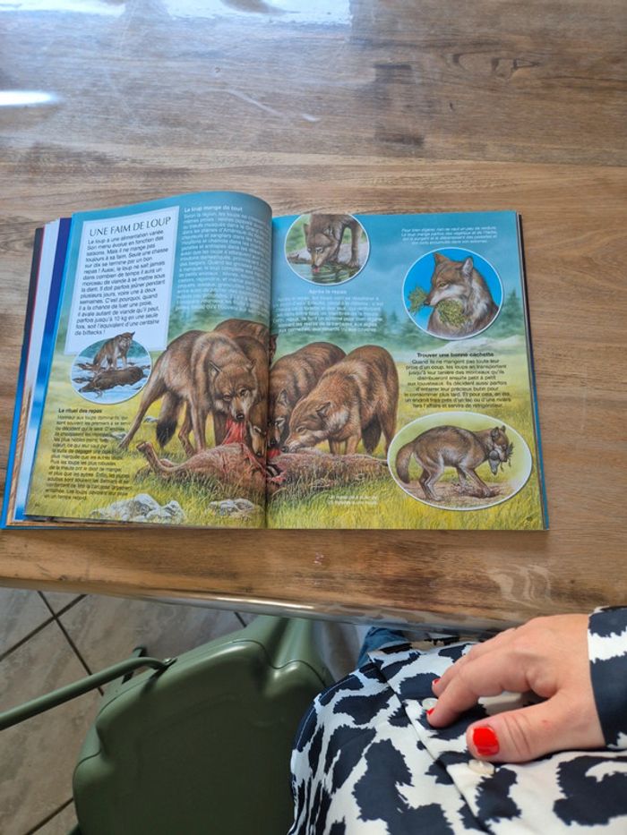 Livres sur les animaux - photo numéro 3