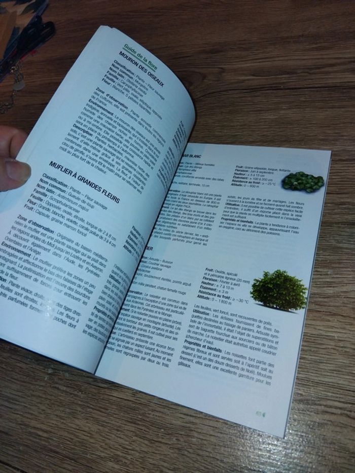 Guide de la faune et de la flore - photo numéro 3