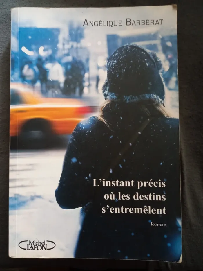 Livre l'instant précis où les destins s'entremêlent