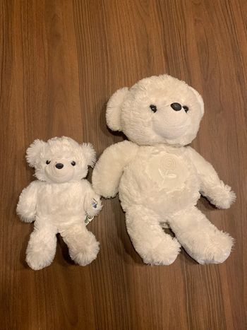 Lot de 2 Lumicalins