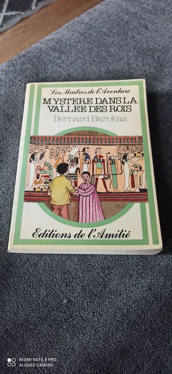 Livre mystere dans la vallee Des rois
