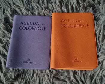 Lot 2 petits protèges agenda