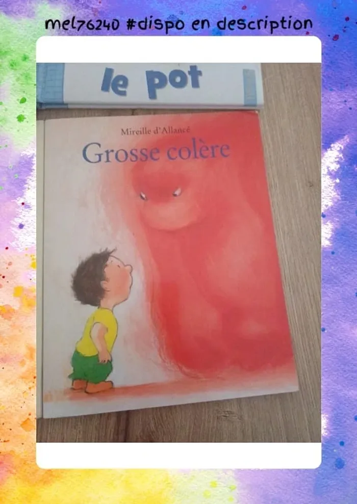 Lot livre enfants - photo numéro 4