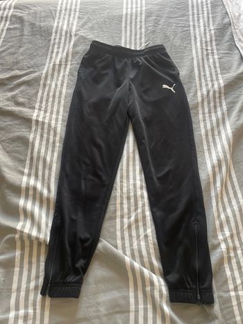 Jogging puma