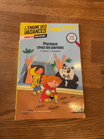 Livre L’énigme des vacances Roman Jeu pour raviser Policier Panique chez les pandas