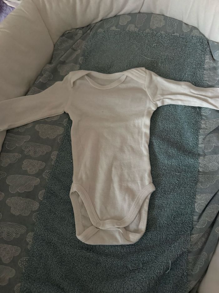 Lot body - photo numéro 6