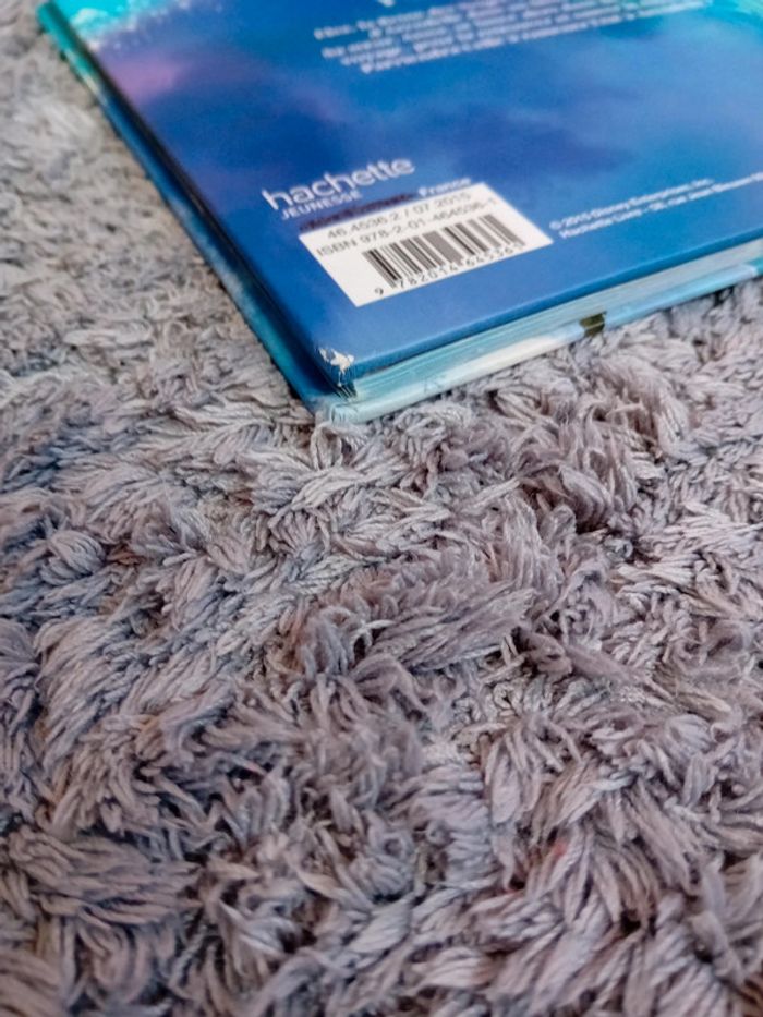Livre Disney "La Reine Des Neiges" - photo numéro 3