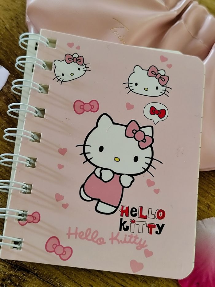 carnet à spiral hello kitty sanrio kawaii