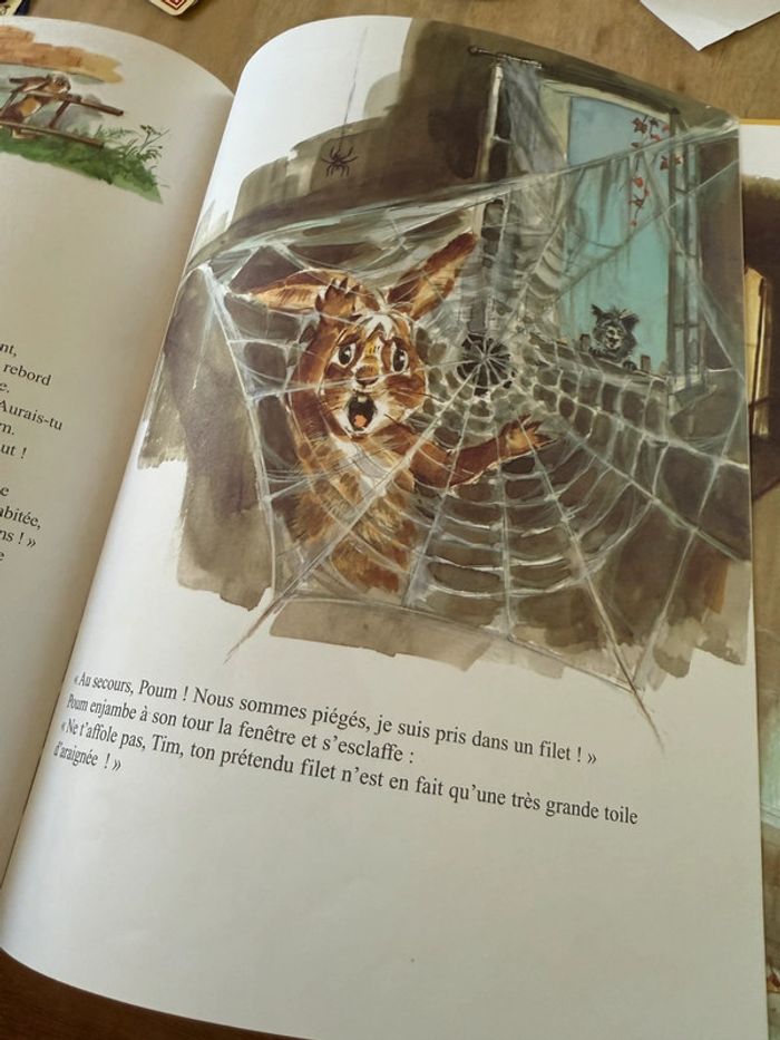 Grand livre album vintage Tim et Poum dans la forêt Pierre Probst auteur Caroline - photo numéro 8