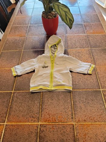 Gilet zippé à capuche