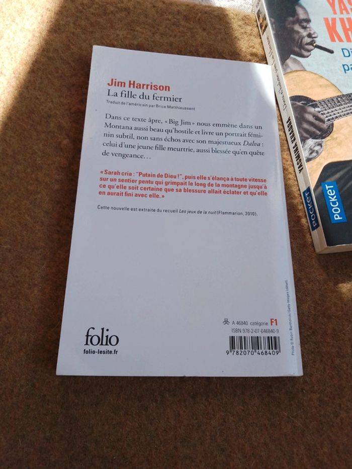 Roman Jim Harrison - photo numéro 2