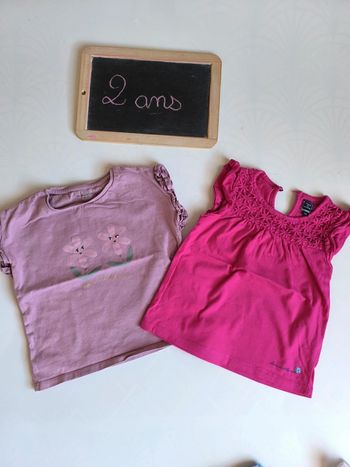 Lot de 2 t-shirts taille 2 ans en très bon état