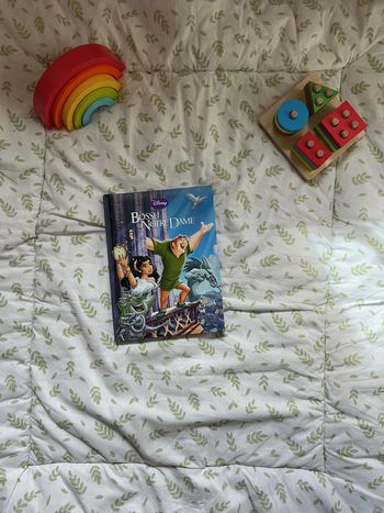 livre Disney Le bossu de Notre Dame collection France loisirs