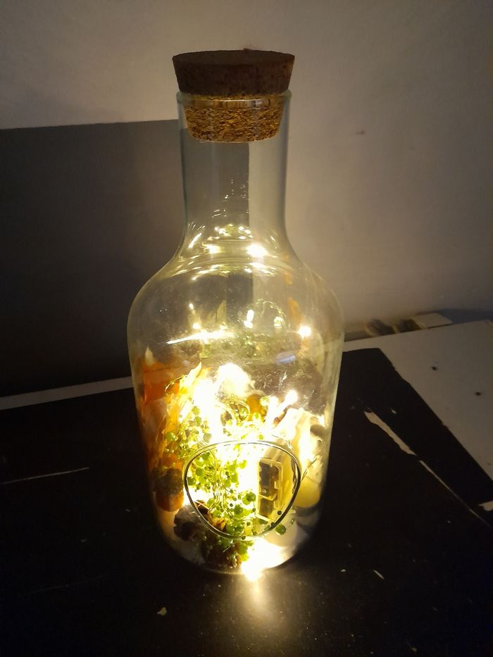 Décoration de Noël lumineux - photo numéro 10