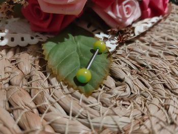 🍁Piercing langue jaune et turquoise🍁