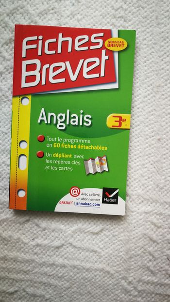 Fiches Brevet Anglais 3e
