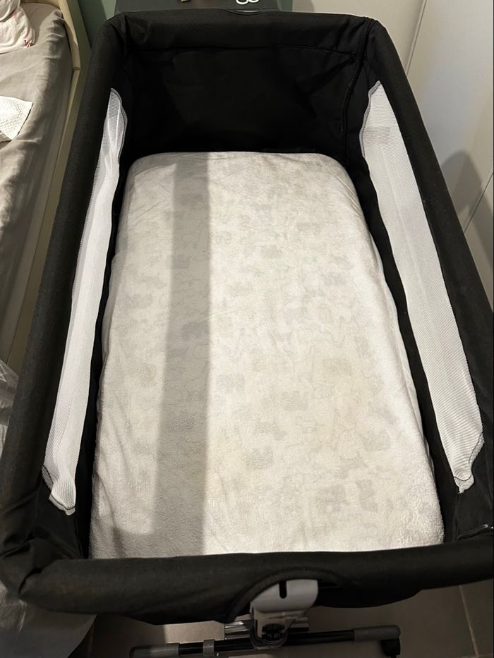 Cododo - photo numéro 3