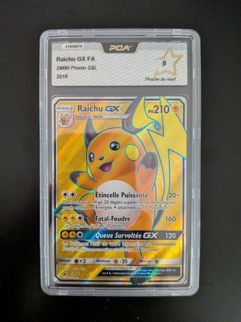Pokémon carte Raichu Gx légendes brillantes PCA 9

brillantes PCA 9