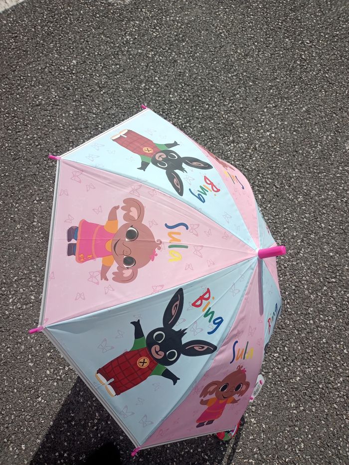 Parapluie bing - photo numéro 2