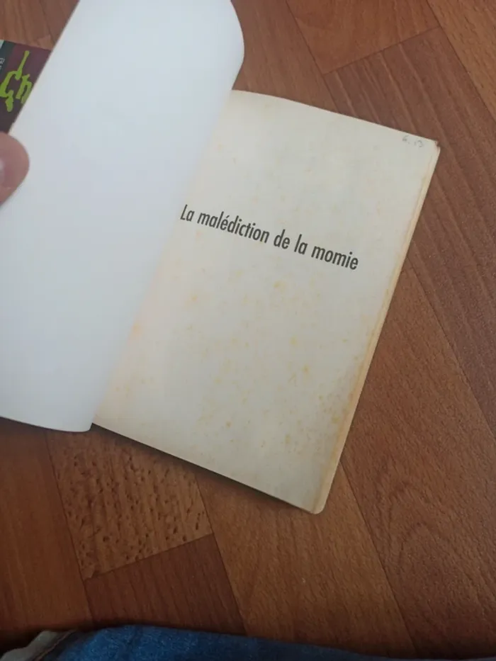 Chair de poule - Dangeureuse photos et La maladie de la momie - photo numéro 11