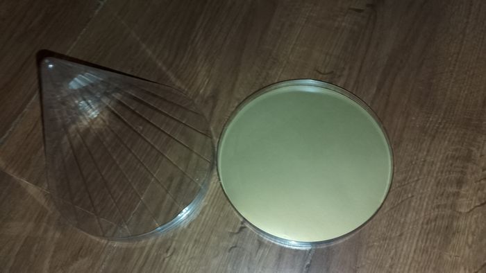 Cône, pyramide, boite vide de Ferrero - photo numéro 6