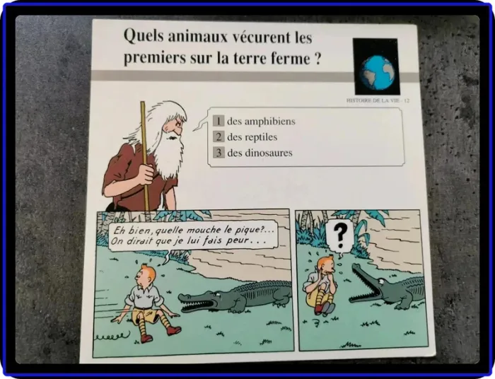 Fiches Tintin - photo numéro 2