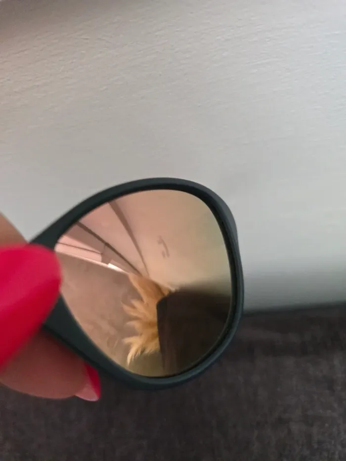 Lunette - photo numéro 4