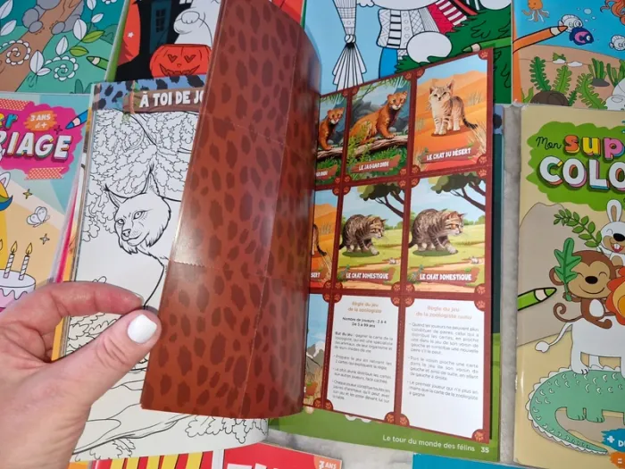 Lot de 11 livres de jeux, coloriage, lecture pour enfants - photo numéro 12