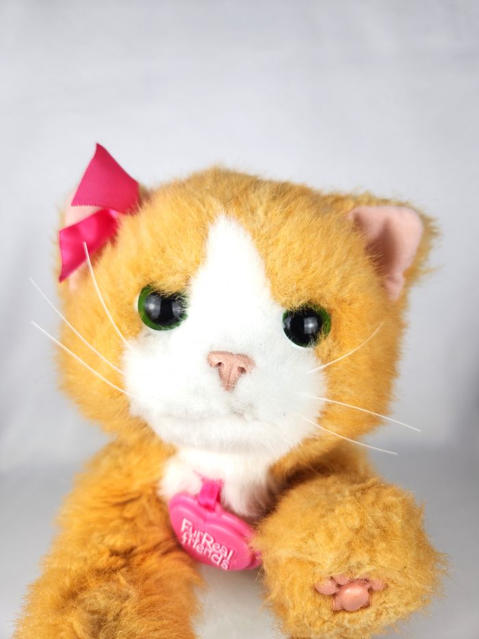 Peluche Interactive Daisy - Furreal Friends Hasbro - photo numéro 2