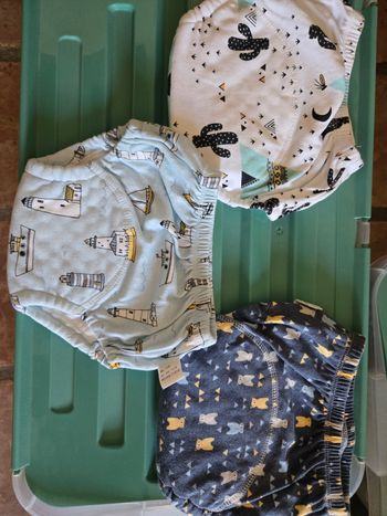 Culottes apprentissage propreté (transition)