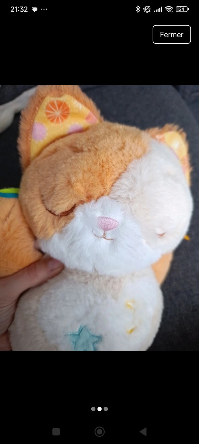 Chat musical - photo numéro 2