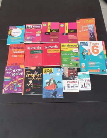 Lot de livres parascolaires