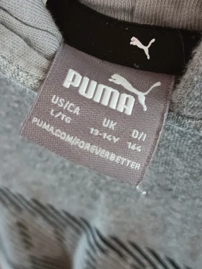 Pull à capuche garçon - photo numéro 2