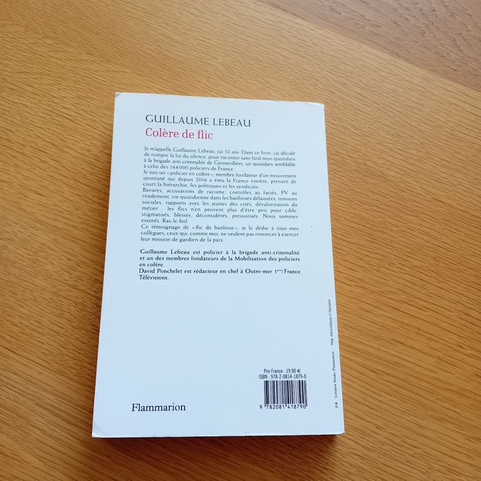 Colère de flic - photo numéro 3
