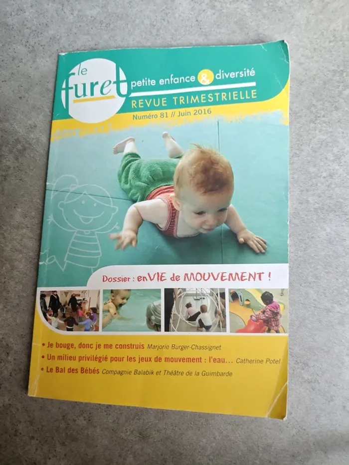 Le furet petite enfance et diversité revue trimestrielle 81 juin 2016