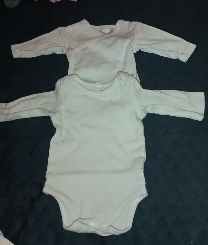 Lot de 3 bodies manches courtes - photo numéro 2