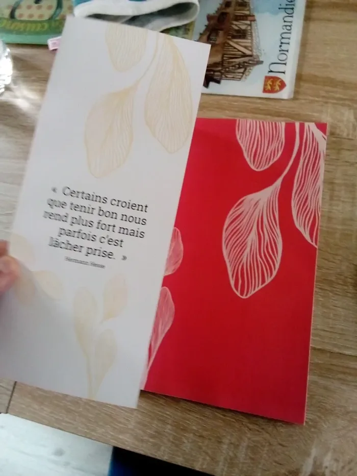 Lâcher prise revue numéro 8 - photo numéro 4